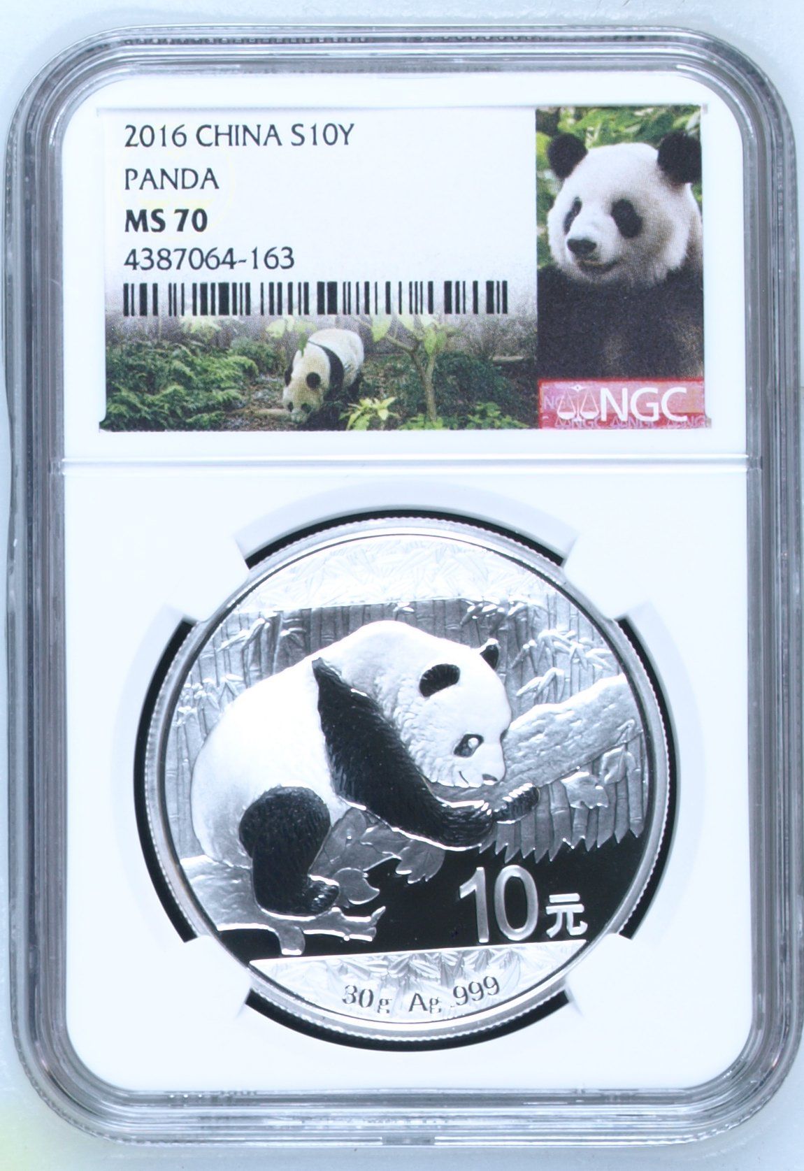 2013 China Panda 10Y Silver MS70 Early Releases NGC MS 70 2013